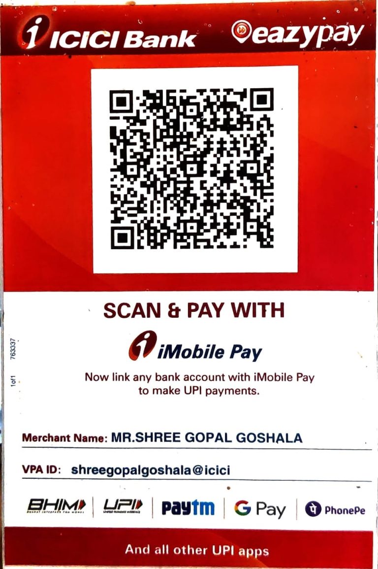 scan